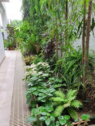 peakview-estate photo thumbnail #1